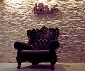 Sauna Le Lotus Reims | Libertin Hetero Gay Bi Trans